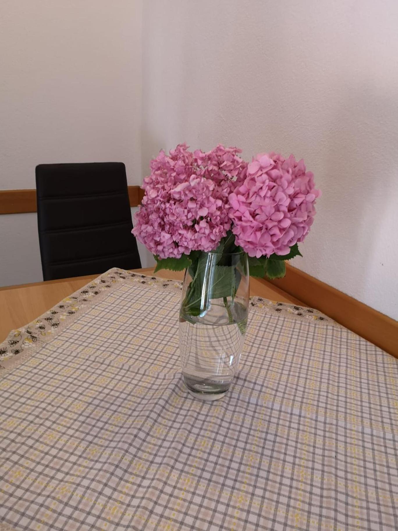 Apartments Toni Trogir Zewnętrze zdjęcie